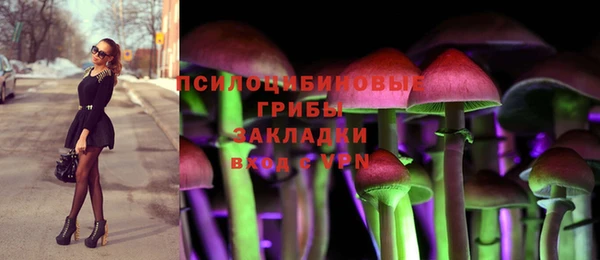 гидра Волосово