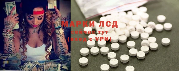 гидра Волосово