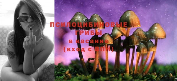 круглые Вязьма