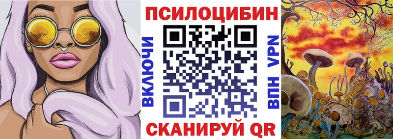 дарнет шоп Суздаль Галлюциногенные грибы Cubensis